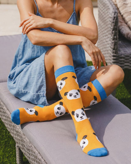 Person wearing panda-patterned socks sitting on a chair outdoors