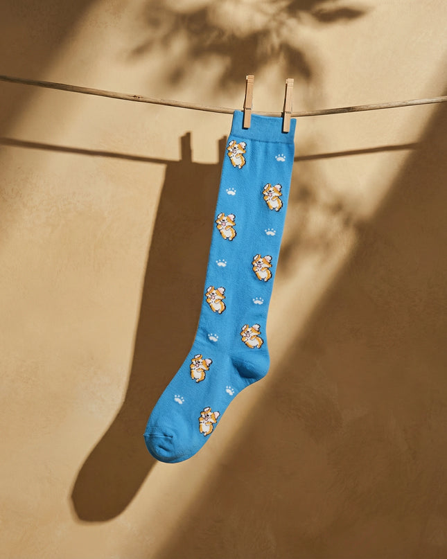 Blue knee-high socks with bear pattern hanging on a clothesline against a beige wall.
